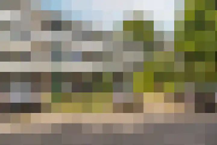 't Kofschip 15 Veenendaal foto 2