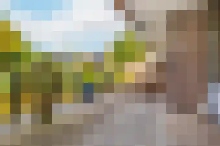 't Kofschip 15 Veenendaal thumbnail 24