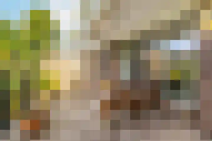 't Kofschip 15 Veenendaal thumbnail 26