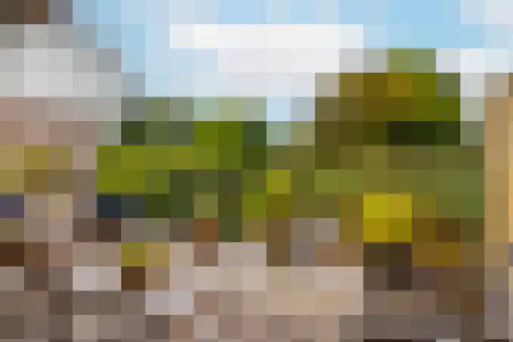 't Kofschip 15 Veenendaal thumbnail 27