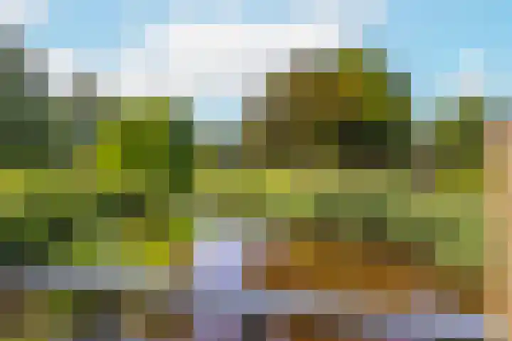 't Kofschip 15 Veenendaal thumbnail 28