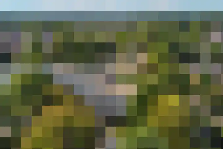 't Kofschip 15 Veenendaal thumbnail 30