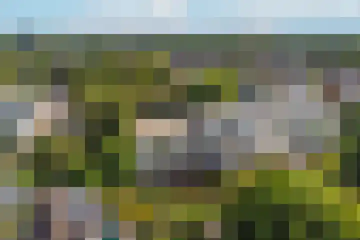 't Kofschip 15 Veenendaal thumbnail 31