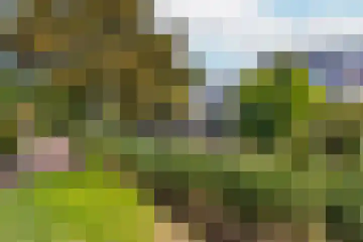 't Kofschip 15 Veenendaal thumbnail 32