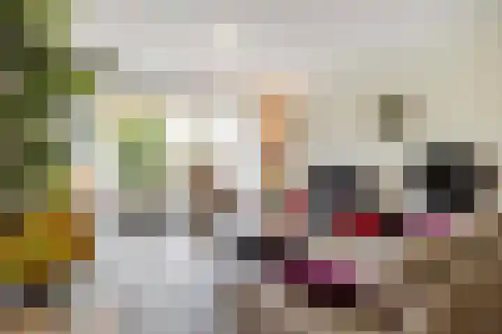 't Kofschip 15 Veenendaal thumbnail 6