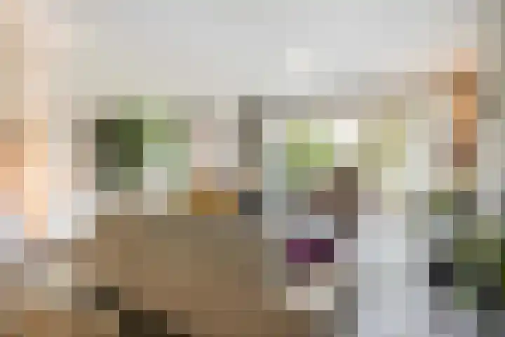 't Kofschip 15 Veenendaal thumbnail 7