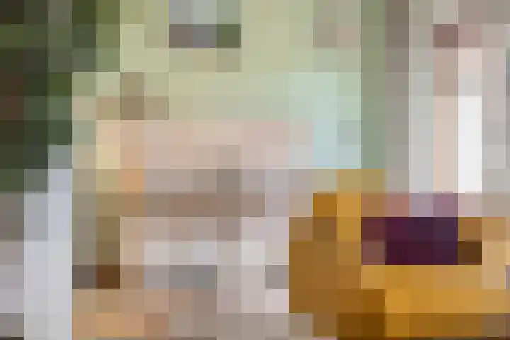 't Kofschip 15 Veenendaal thumbnail 8