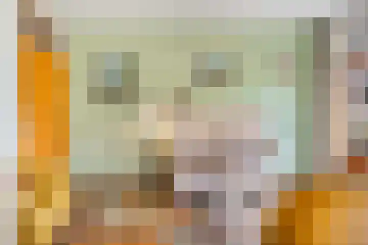 't Kofschip 15 Veenendaal thumbnail 9
