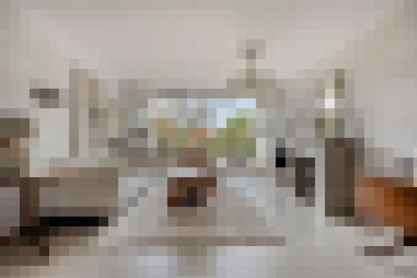 't Kofschip 19 Veenendaal thumbnail 14