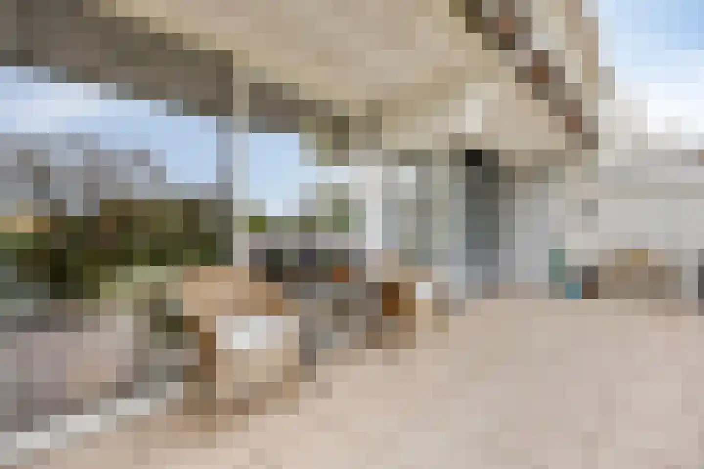 't Kofschip 19 Veenendaal thumbnail 16
