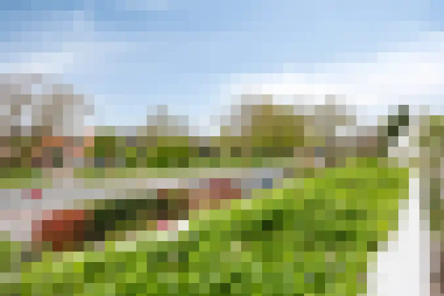 't Kofschip 19 Veenendaal thumbnail 25