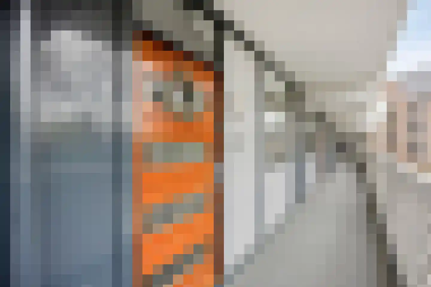 't Kofschip 19 Veenendaal thumbnail 8
