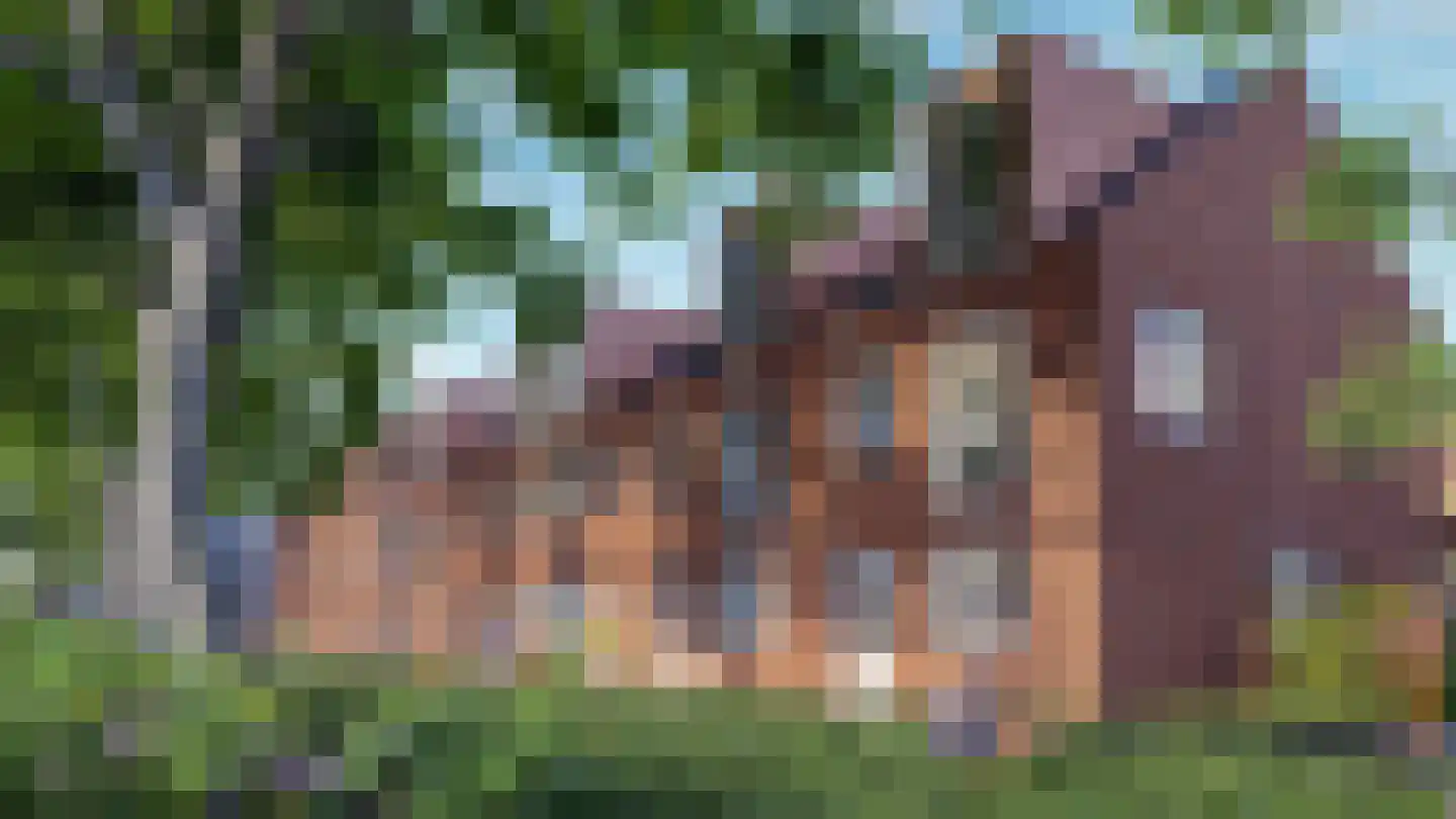 't Kofschip 5 Veenendaal thumbnail 4