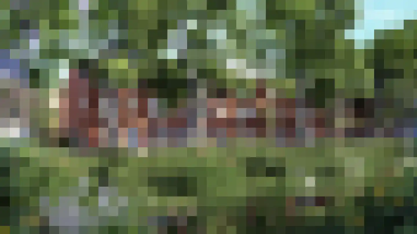 't Kofschip 5 Veenendaal thumbnail 6