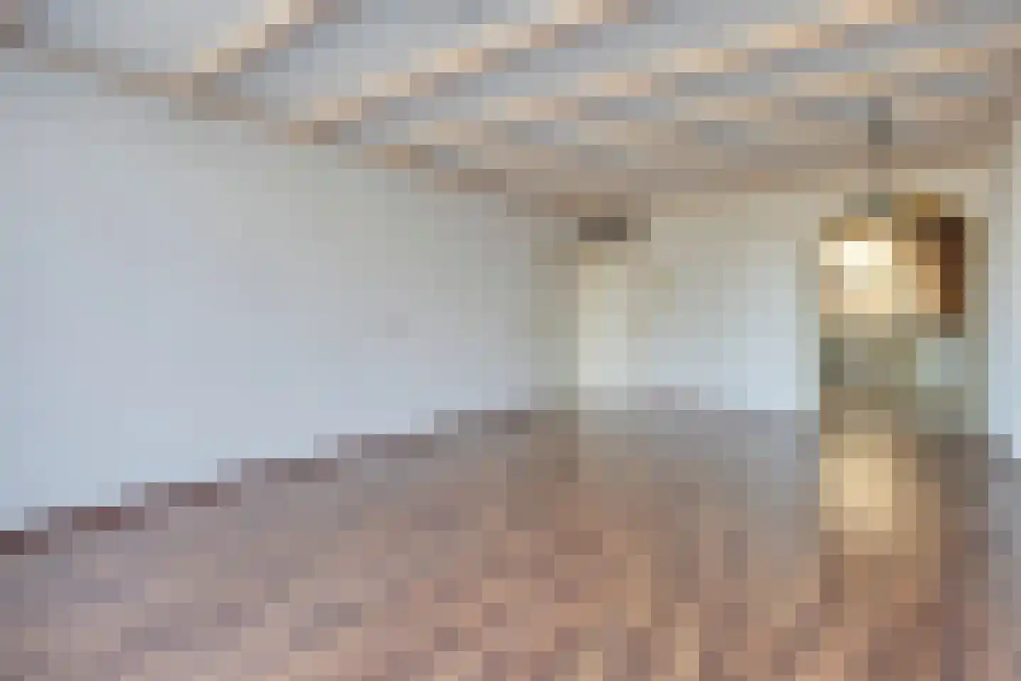 't Kofschip 53 Veenendaal thumbnail 10