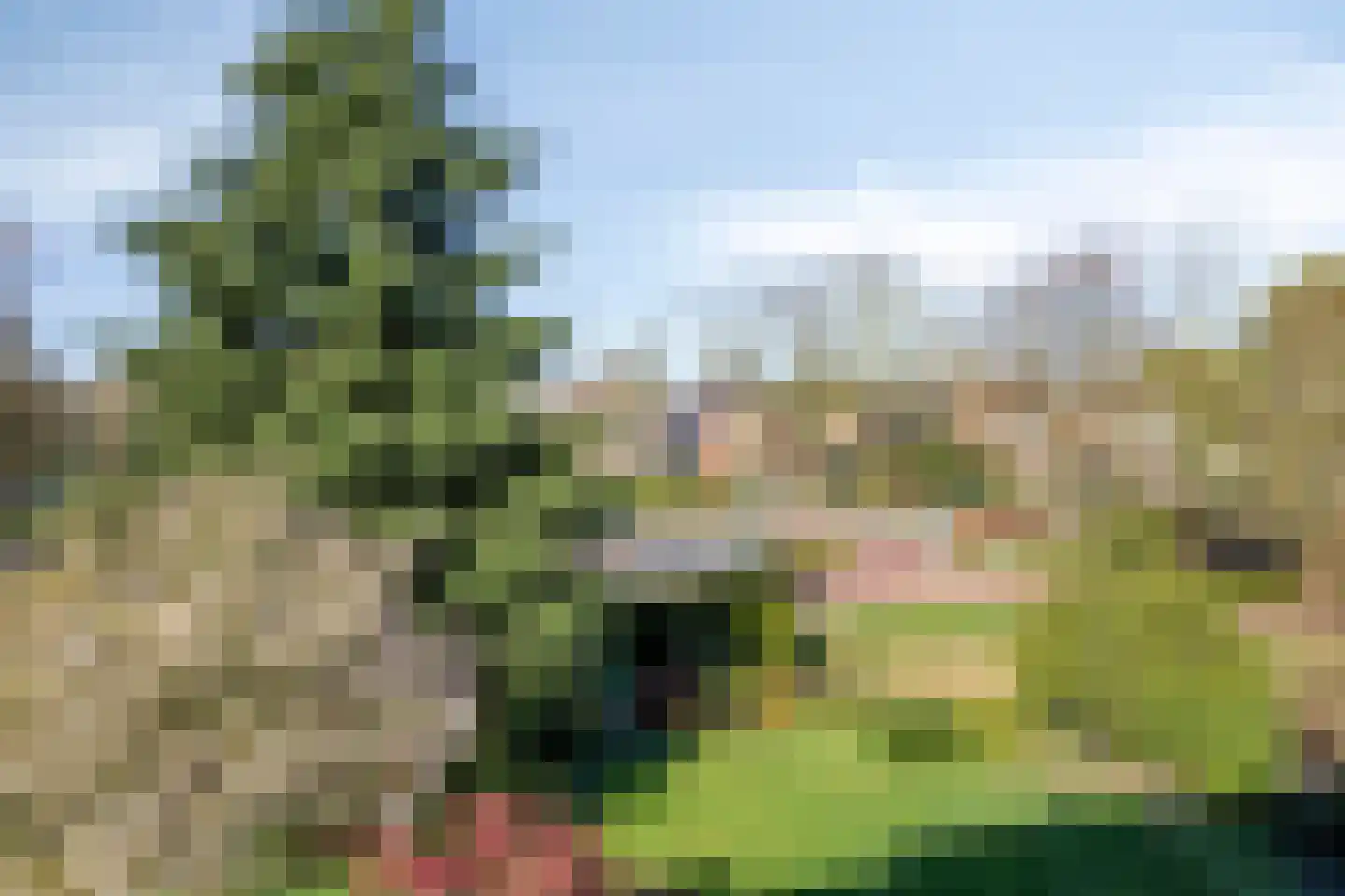 't Kofschip 53 Veenendaal thumbnail 23
