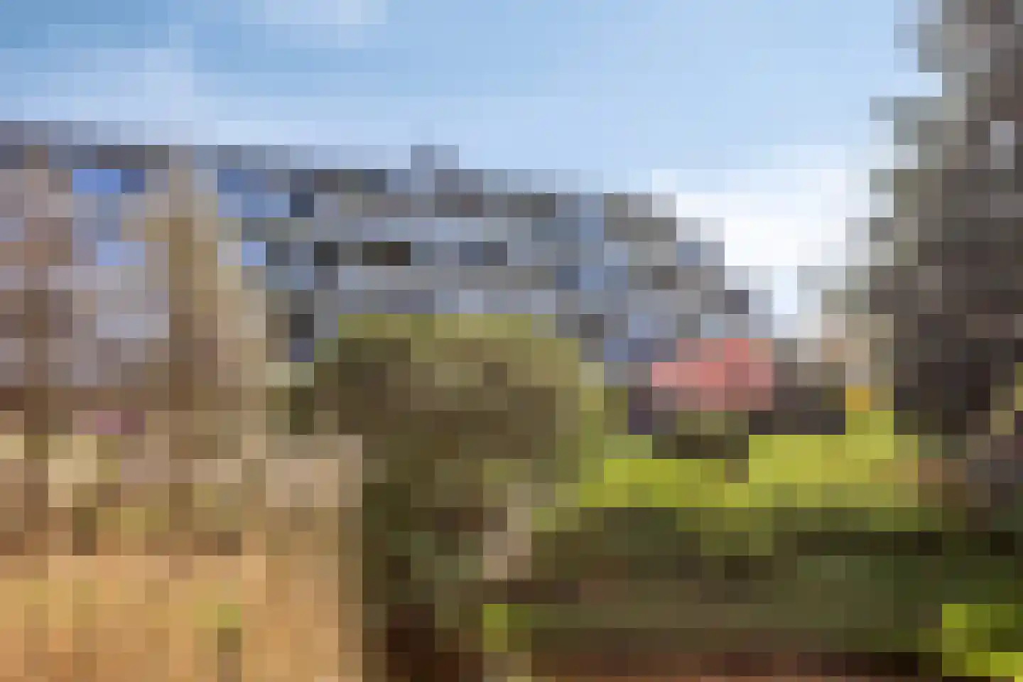 't Kofschip 53 Veenendaal thumbnail 25