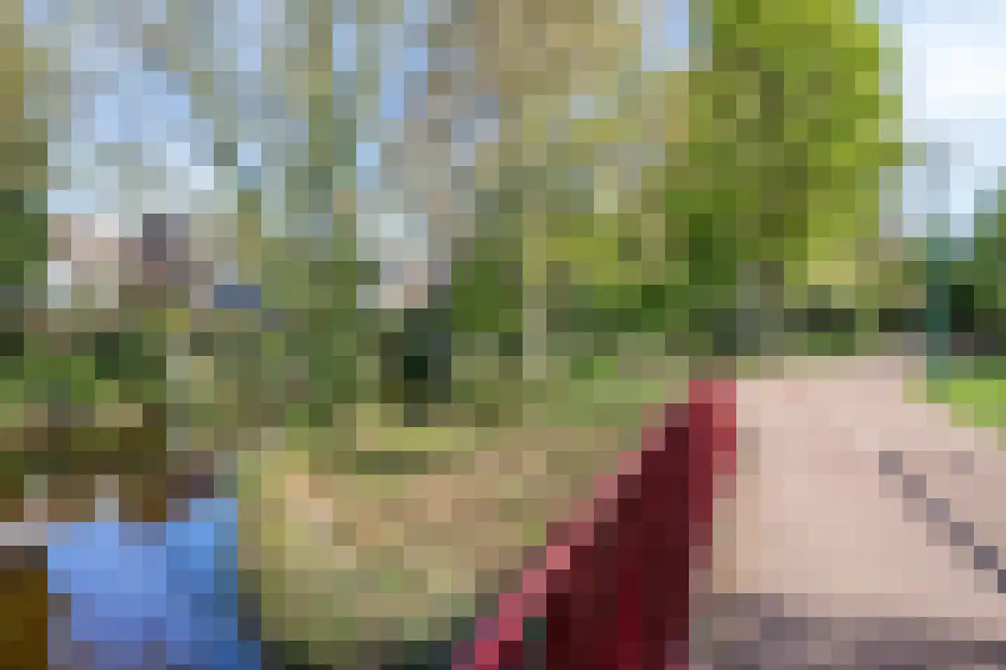 't Kofschip 53 Veenendaal thumbnail 27