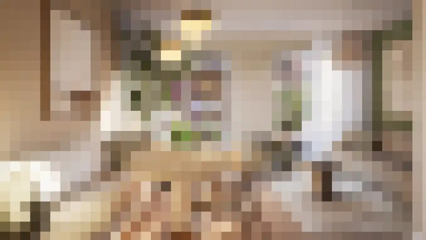 't Kofschip 68 Veenendaal thumbnail 10