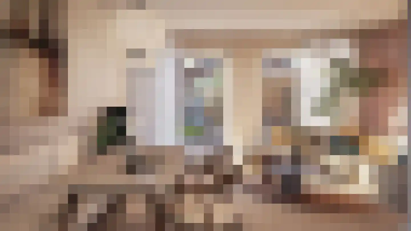 't Kofschip 7 Veenendaal thumbnail 11