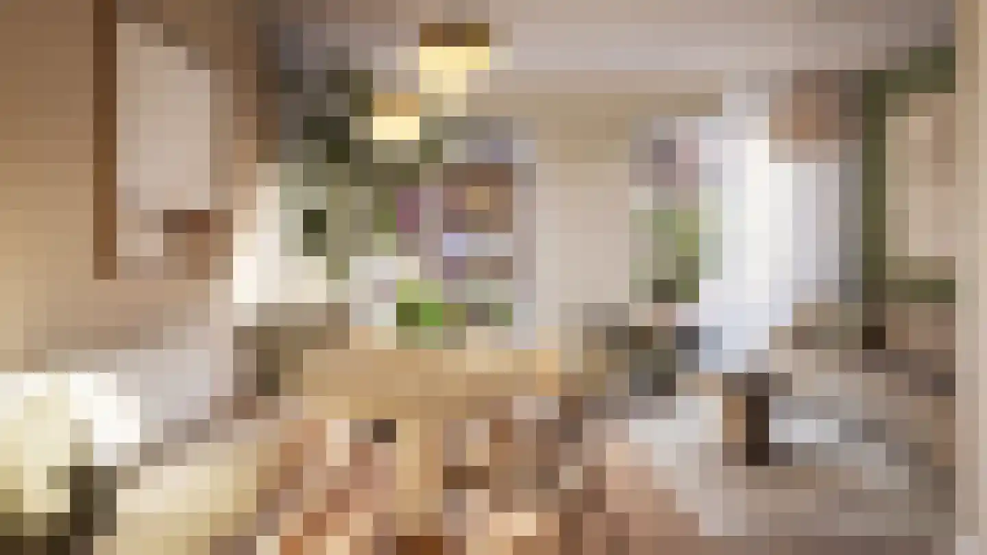 't Kofschip 7 Veenendaal thumbnail 14