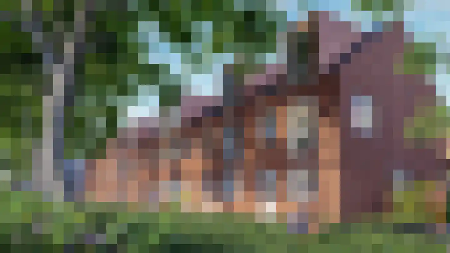 't Kofschip 7 Veenendaal foto 3