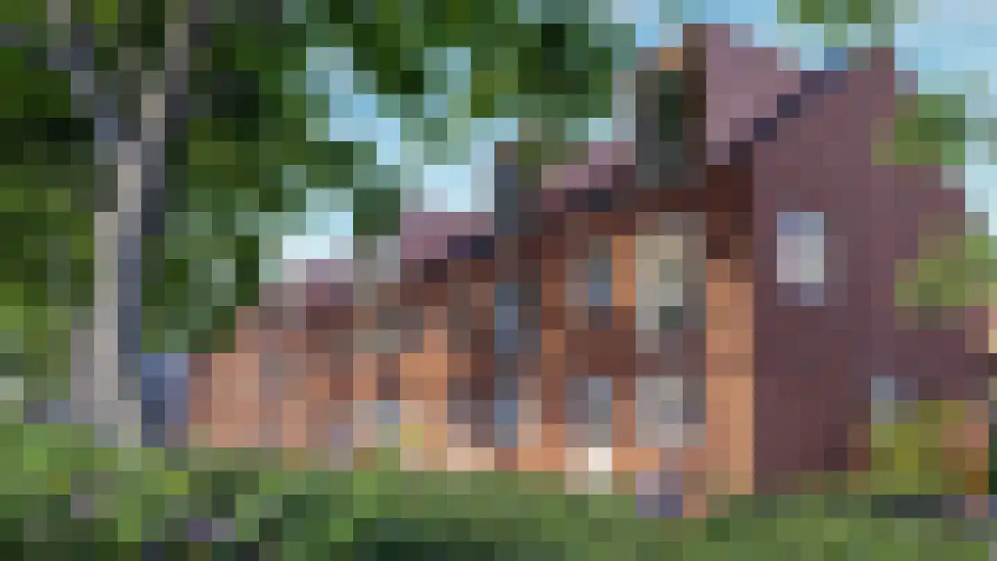 't Kofschip 7 Veenendaal thumbnail 4