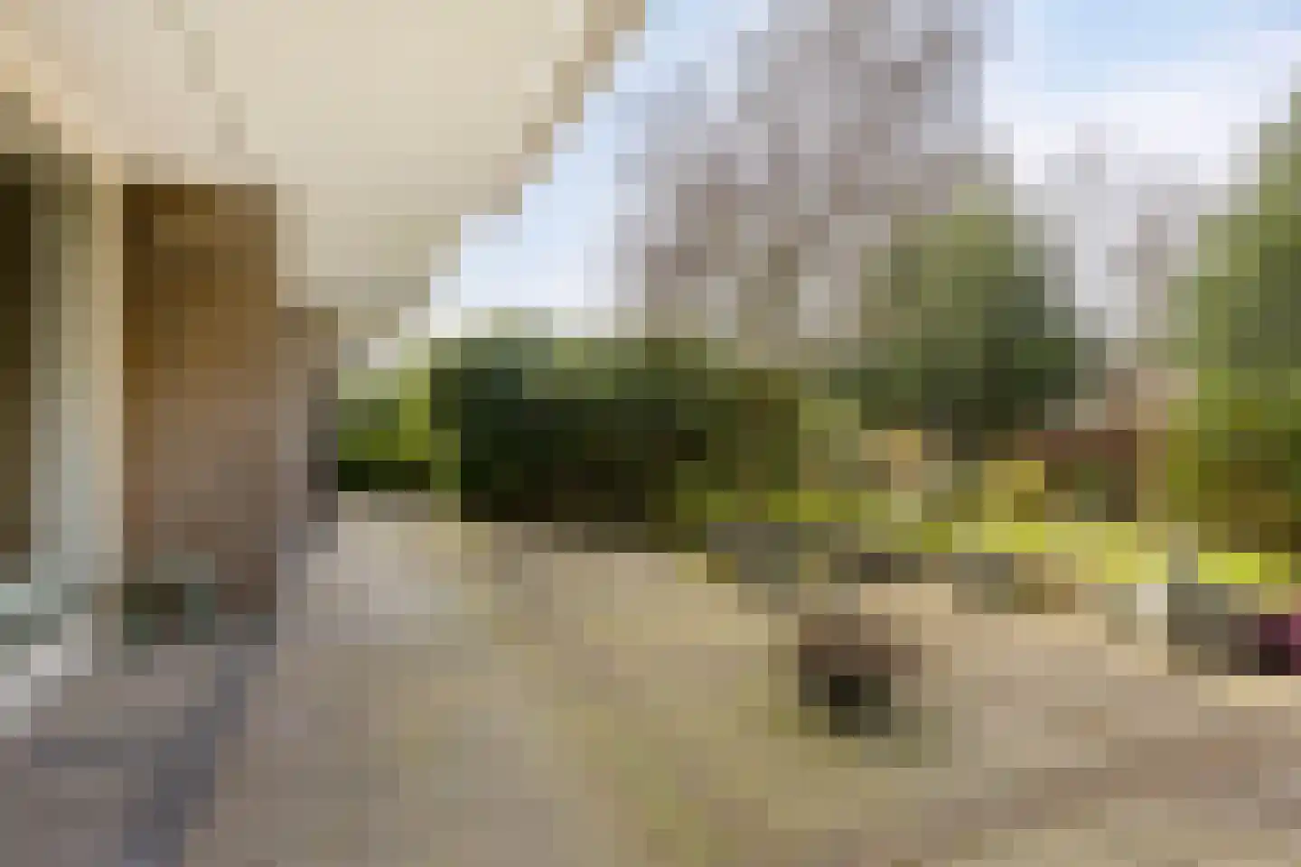 't Kofschip 83 A Veenendaal thumbnail 22