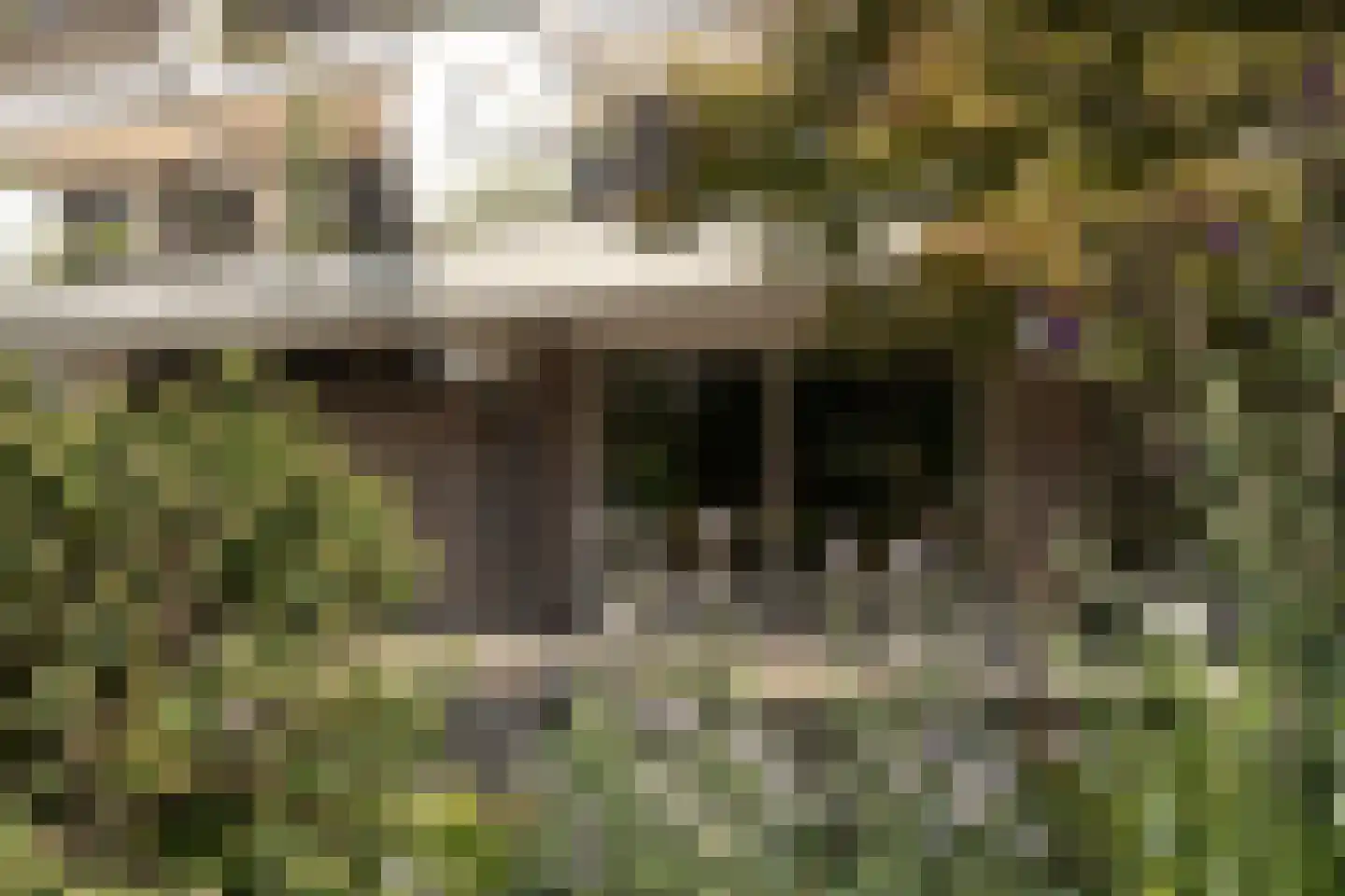 't Kofschip 83 A Veenendaal thumbnail 24