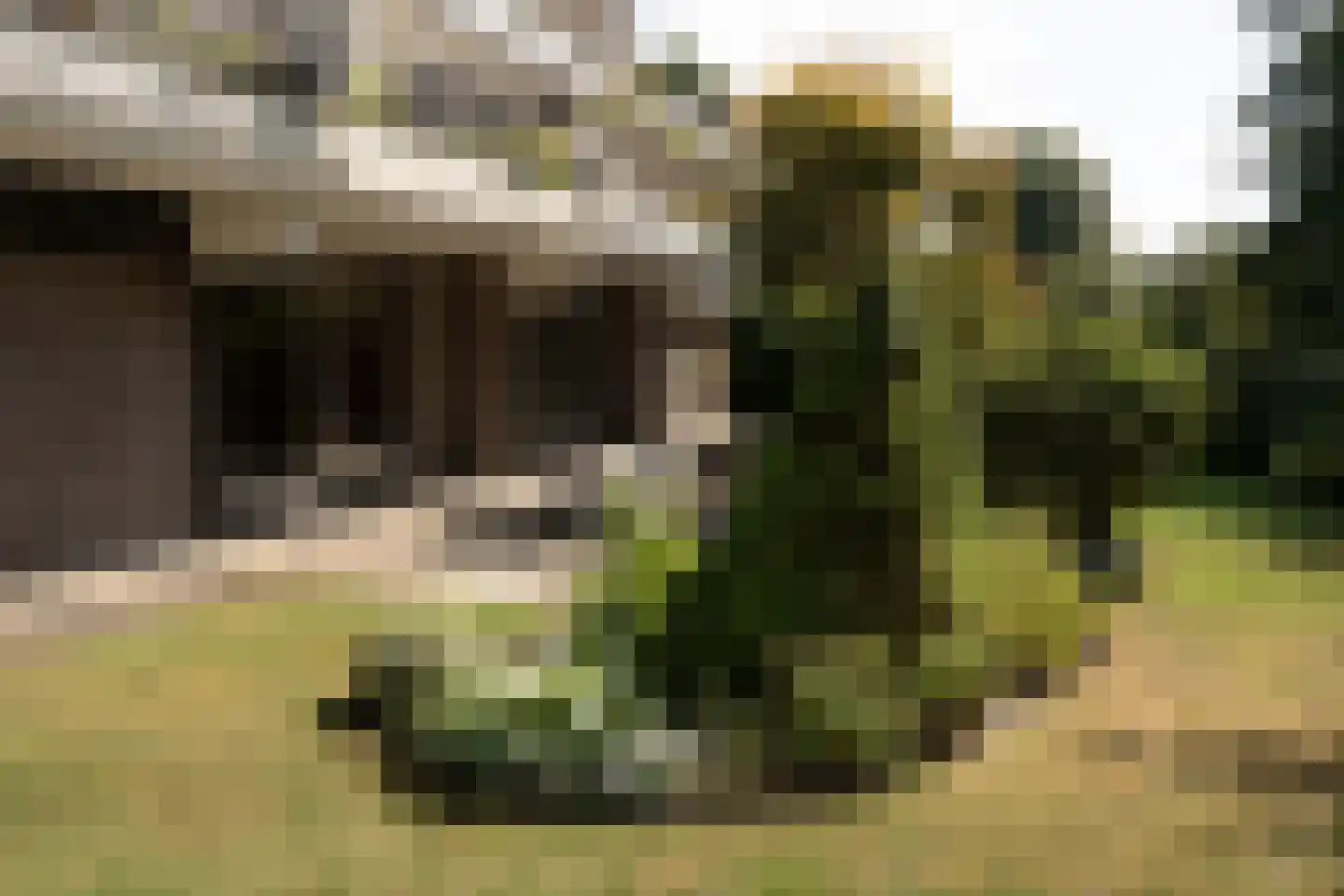 't Kofschip 83 A Veenendaal thumbnail 25