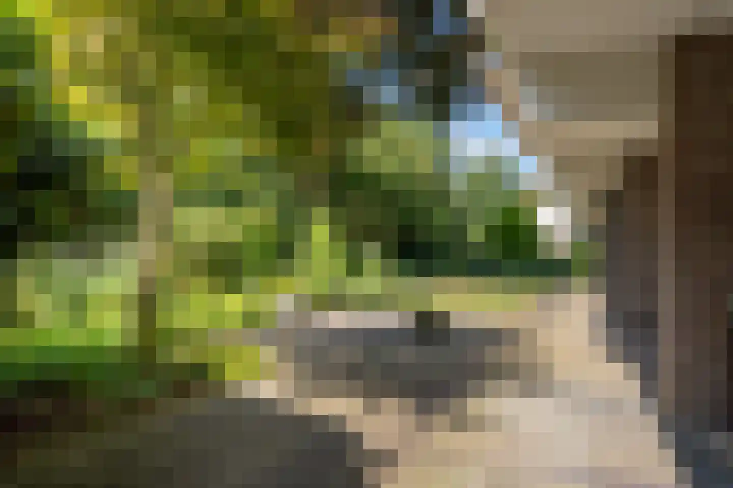't Kofschip 83 A Veenendaal thumbnail 5