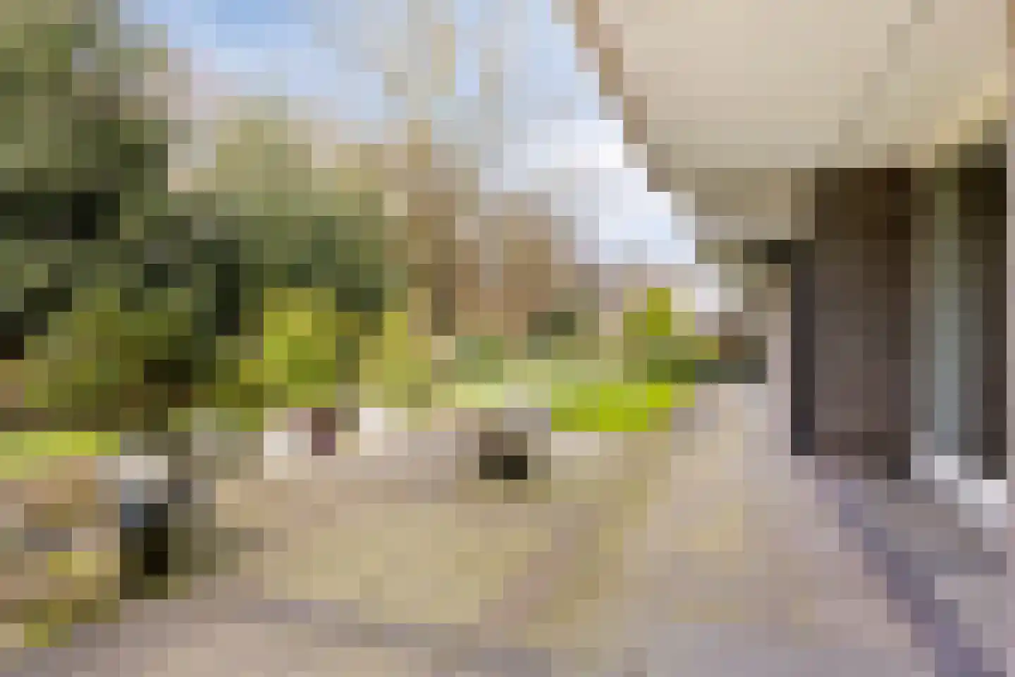 't Kofschip 83 A Veenendaal thumbnail 5