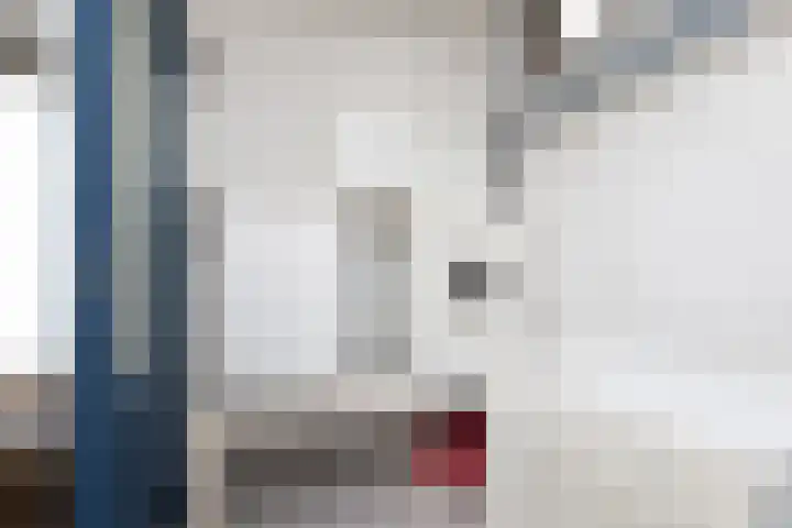 't Laag 10 Bolsward thumbnail 18