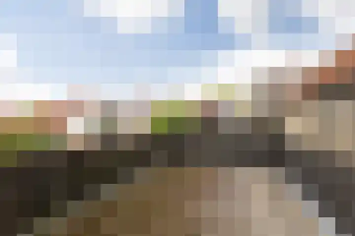 't Laag 10 Bolsward thumbnail 35