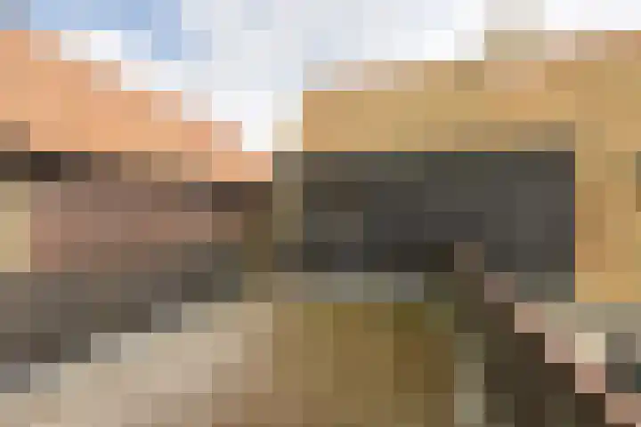 't Laag 10 Bolsward thumbnail 36