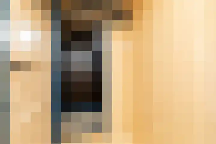 't Laag 10 Bolsward thumbnail 39