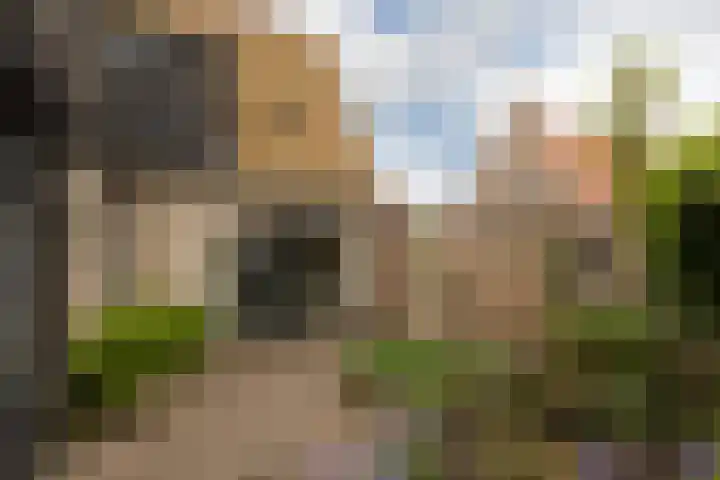 't Laag 10 Bolsward thumbnail 45