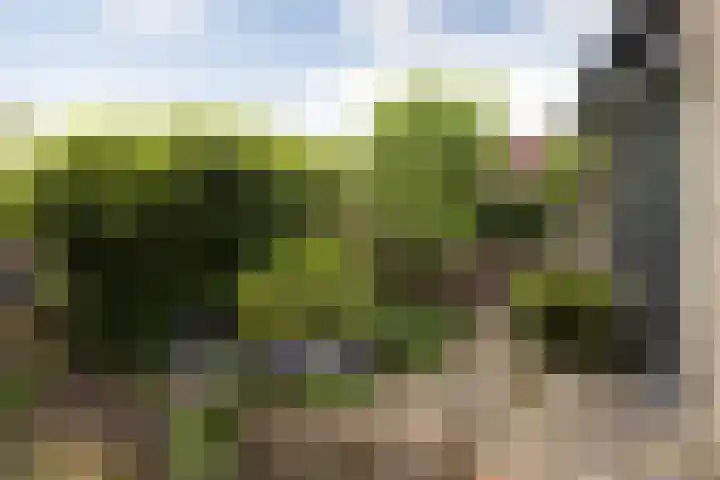 't Laag 10 Bolsward thumbnail 47