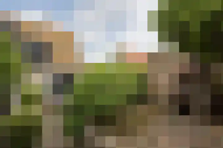 't Laag 10 Bolsward thumbnail 48