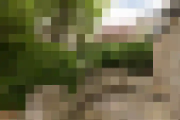 't Laag 10 Bolsward thumbnail 49