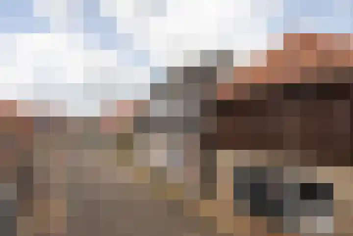 't Laag 10 Bolsward thumbnail 5