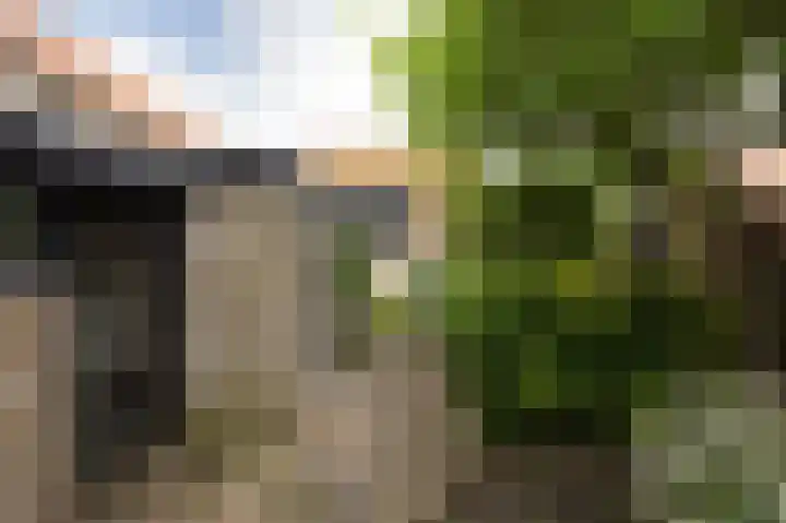 't Laag 10 Bolsward thumbnail 50