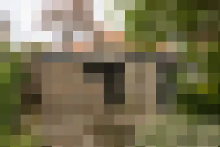 't Laag 10 Bolsward thumbnail 51