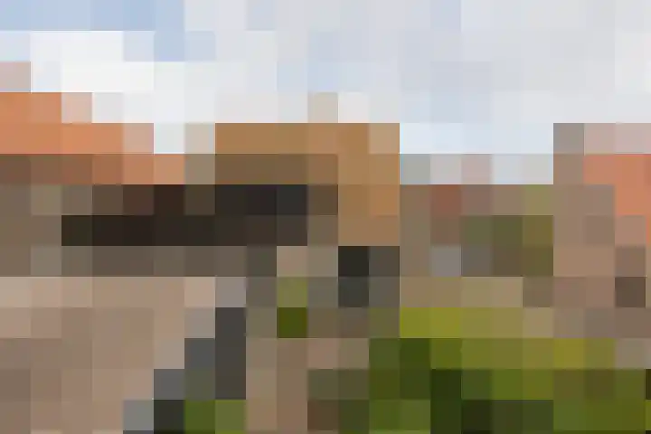 't Laag 10 Bolsward thumbnail 52