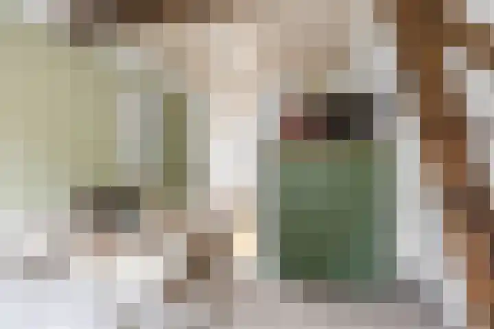 't Laag 42 Bolsward thumbnail 33