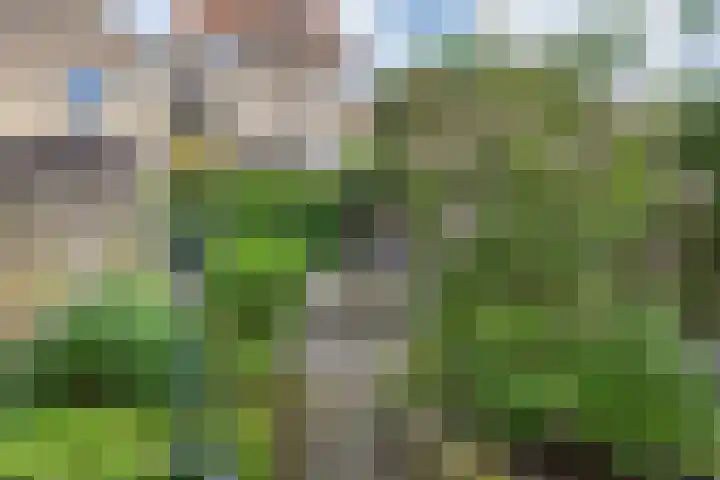 't Laag 42 Bolsward thumbnail 35
