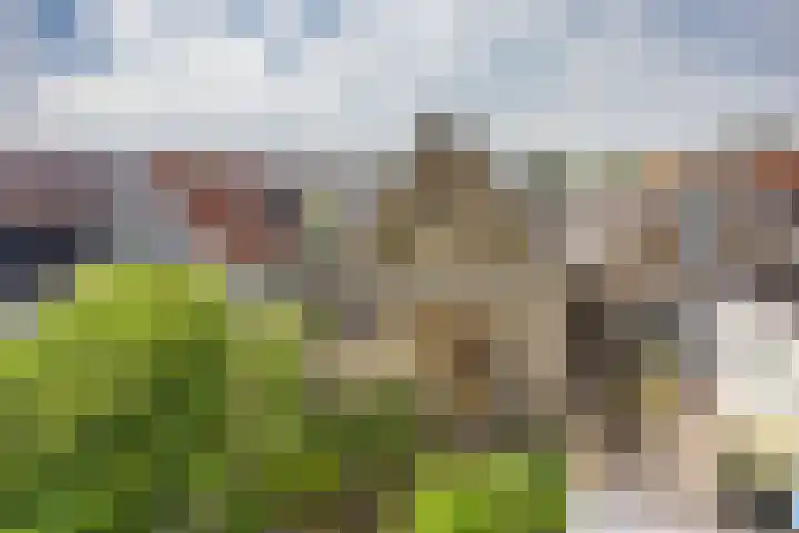 't Laag 42 Bolsward thumbnail 37