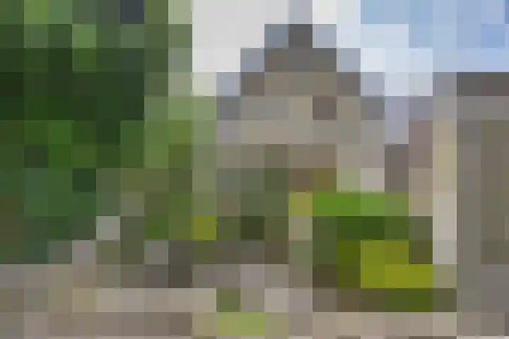 't Laag 42 Bolsward thumbnail 4