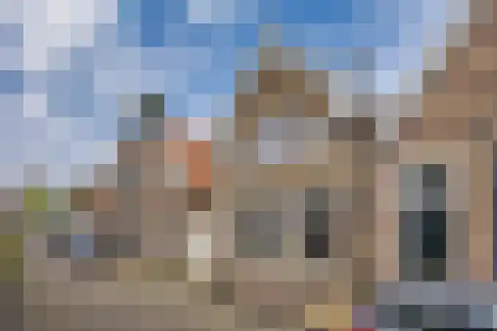 't Laag 42 Bolsward thumbnail 41