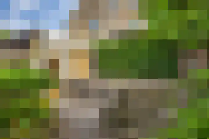 't Laag 42 Bolsward thumbnail 5